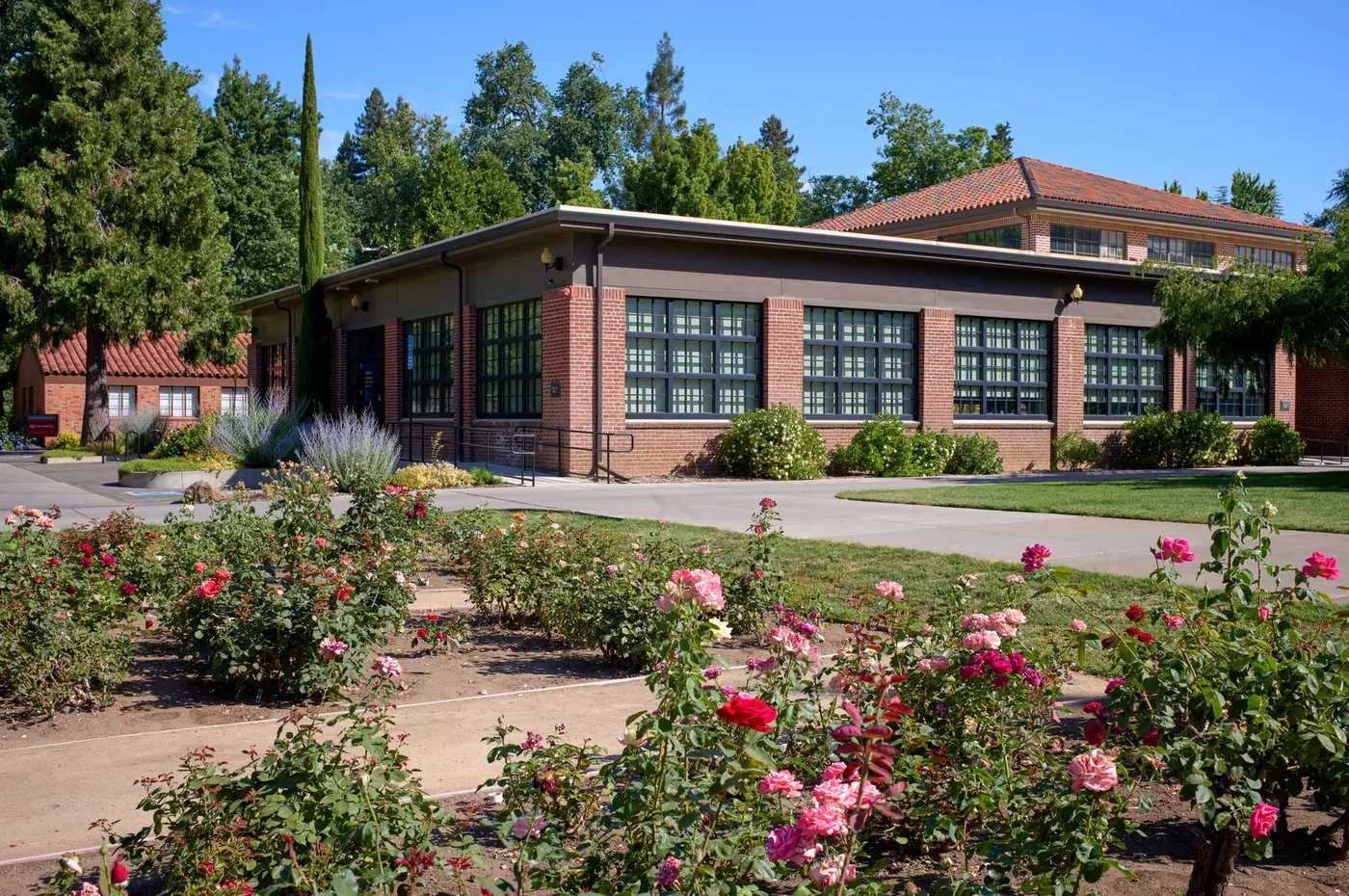 California State University-Chico campus 1