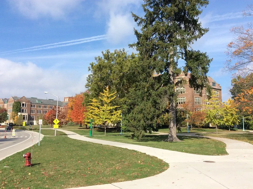 Michigan State University campus 1