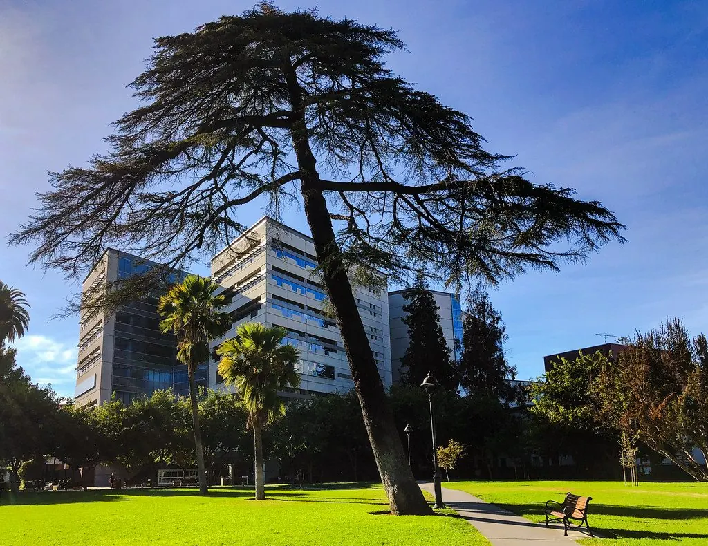 San Jose State University campus 1