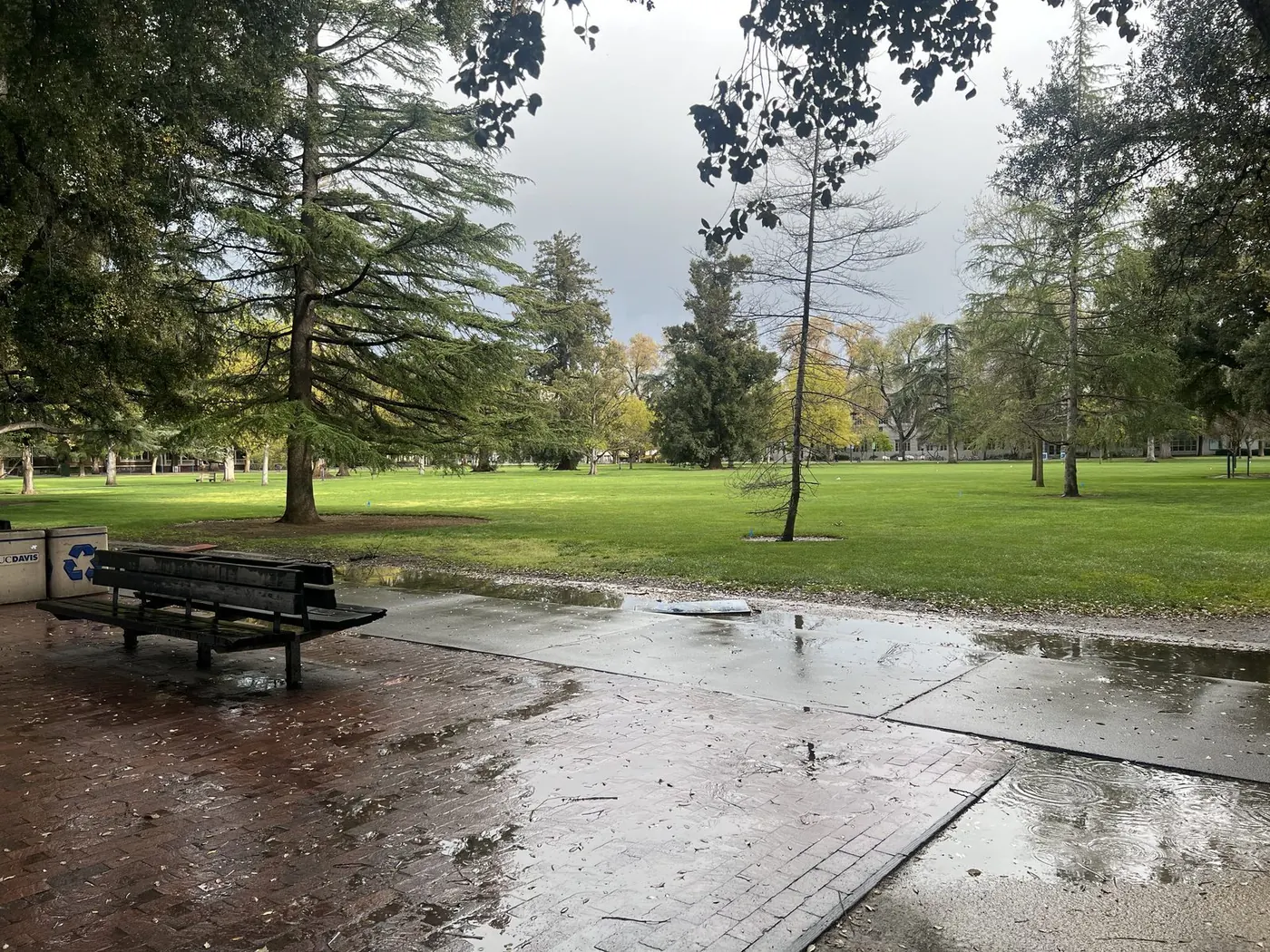University of California-Davis campus 1