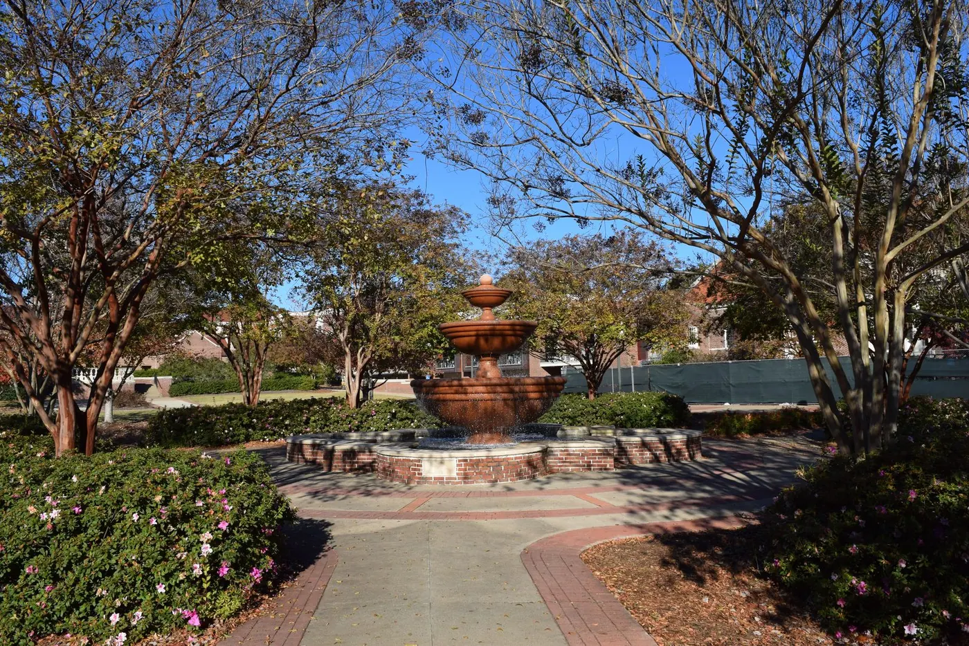 University of Mississippi campus 1